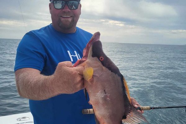 chris with hogfish