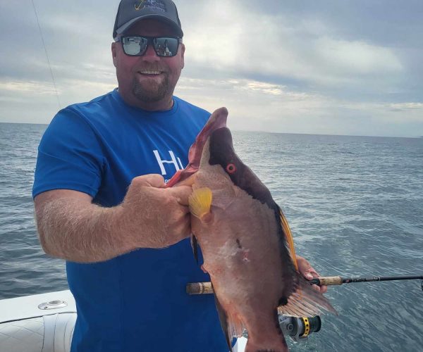 chris with hogfish