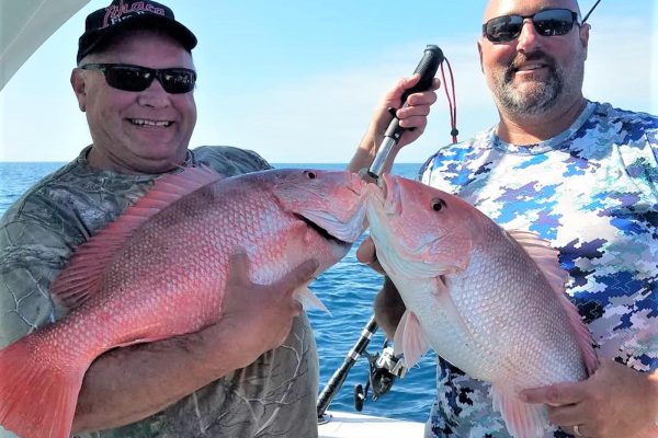 offshore-snapper-fishing-anna-maria-island