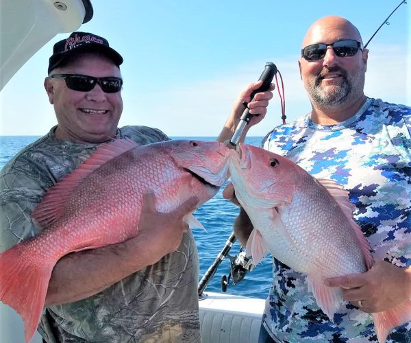 offshore-snapper-fishing-anna-maria-island